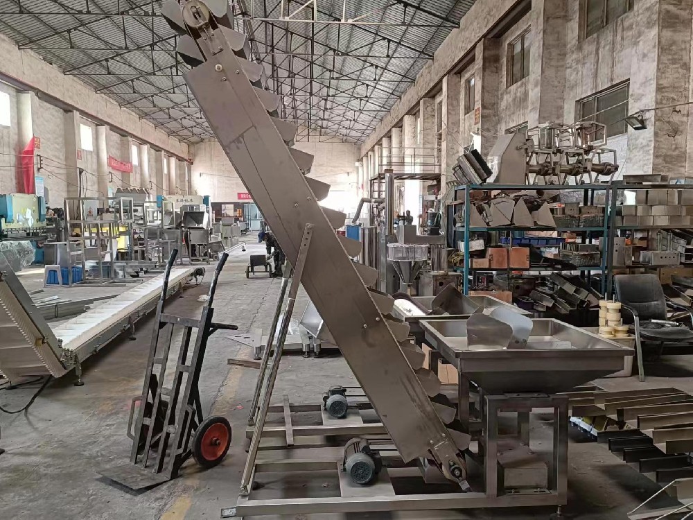 青島斜斗式上料機(jī)生產(chǎn)廠家-斗式提升機(jī)定制-免費(fèi)設(shè)計(jì)